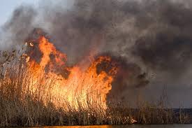 «Про небезпеку виникнення пожеж при спалені сухої трави»