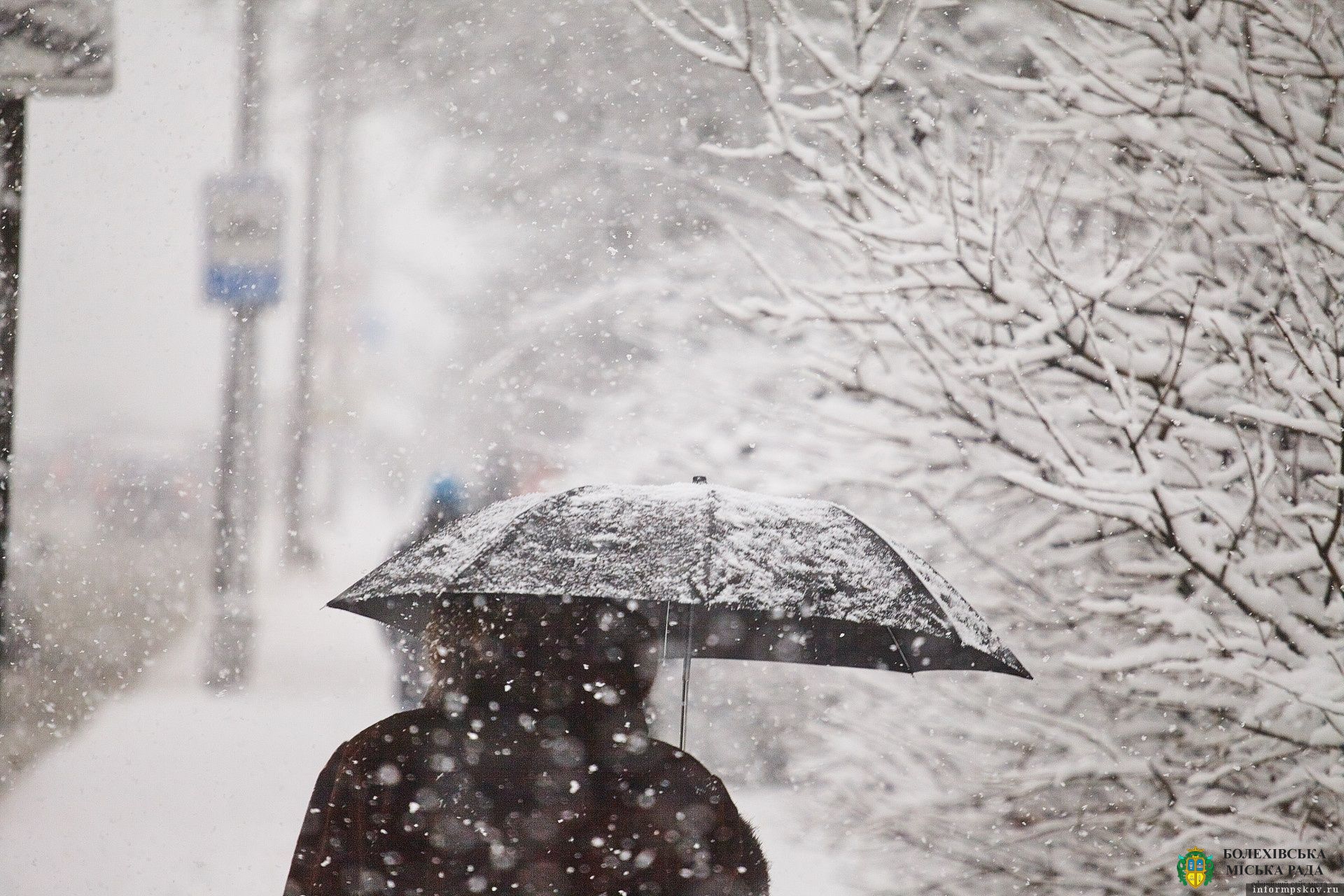 Найближчими днями на Прикарпатті – мокрий сніг та ожеледиця