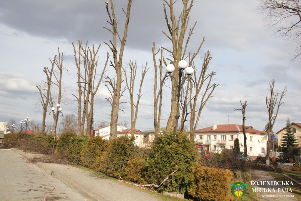 Працівники Болехівського комбінату комунальних підприємств коронують дерева на центральній площі міста