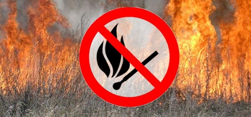 Уряд підтримав законопроєкт щодо посилення відповідальності за самовільне випалювання рослинності