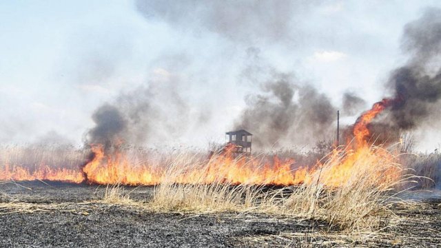 Поліція Прикарпаття наголошує про посилення відповідальності за спалювання сухої трави