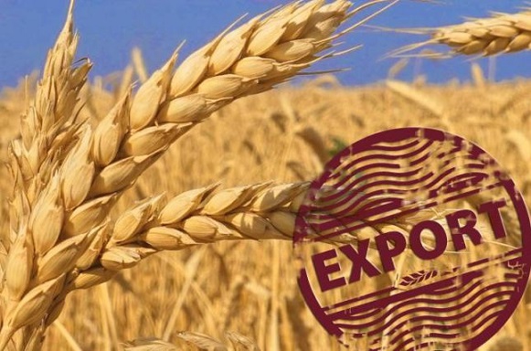 До відома сільгоспвиробників та зернотрейдерів, які планують   здійснювати експорт сільськогосподарської продукції