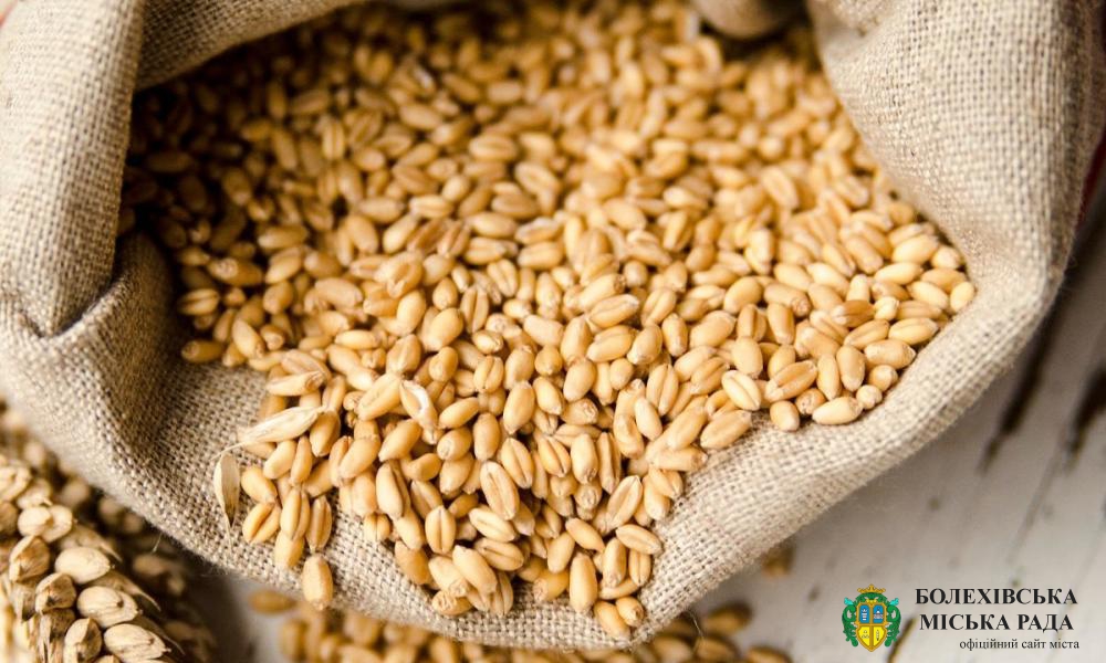 Рекомендації із підготовки складів для приймання зерна і захисту зернових запасів