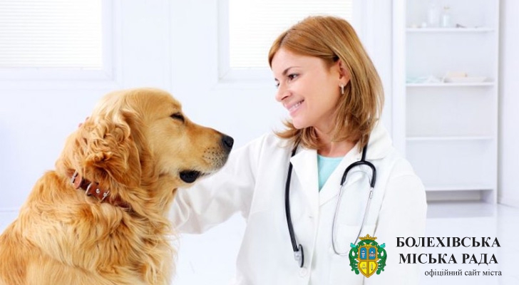 9 серпня - День працівників ветеринарної медицини