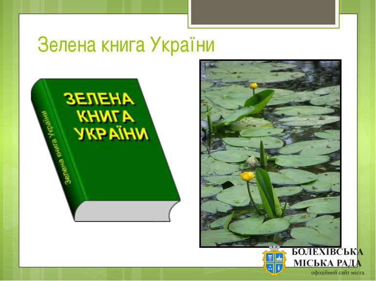Триває робота з підготовки другого видання Зеленої книги України