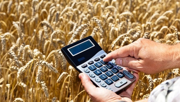 Держава розпочала здешевлювати кредити аграріям