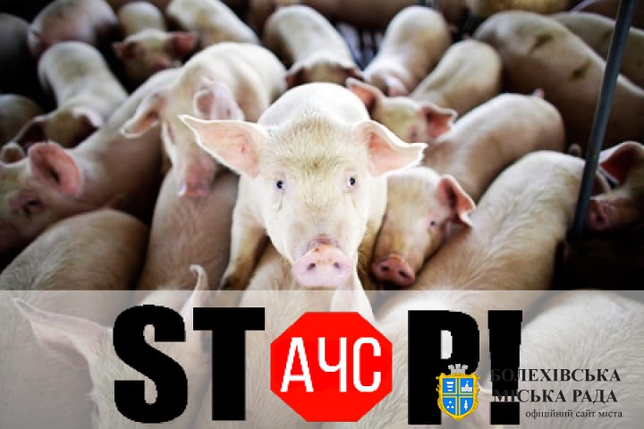 В сусідній Чернівецькій області зафіксовано випадок африканської чуми свиней