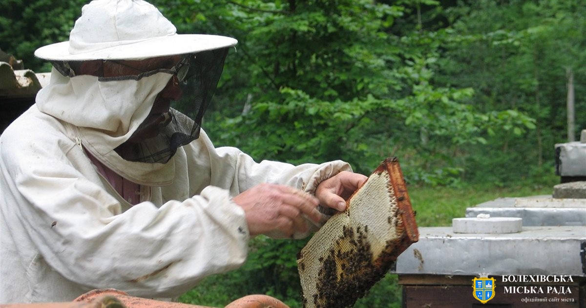 Розпочався збір документів для отримання спеціальної бюджетної дотації за наявні бджолосім’ї