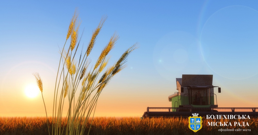 В Україні з’являється ринок земель: що нас чекає
