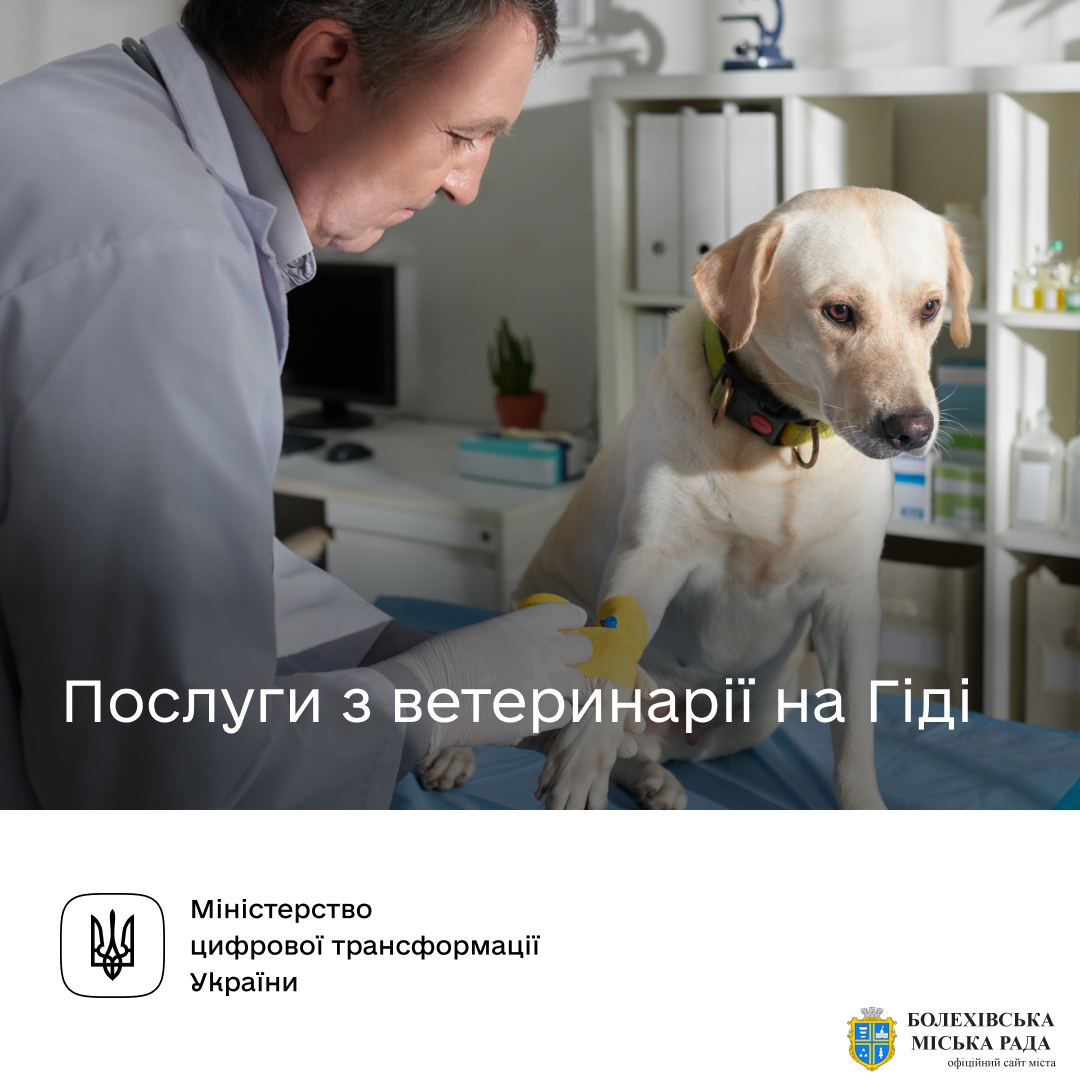 Які ветеринарні сервіси доступні на Гіді з державних послуг?