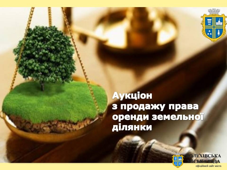 Відбудуться аукціони з продажу права оренди земельних ділянок