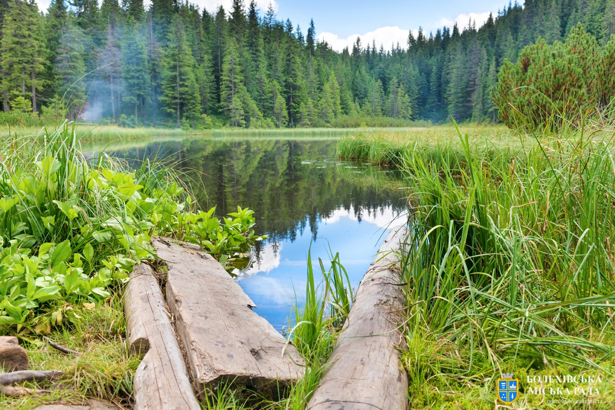 2 лютого - Всесвітній день водно-болотних угідь