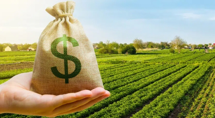 Відбудуться аукціони з продажу права оренди земельних ділянок