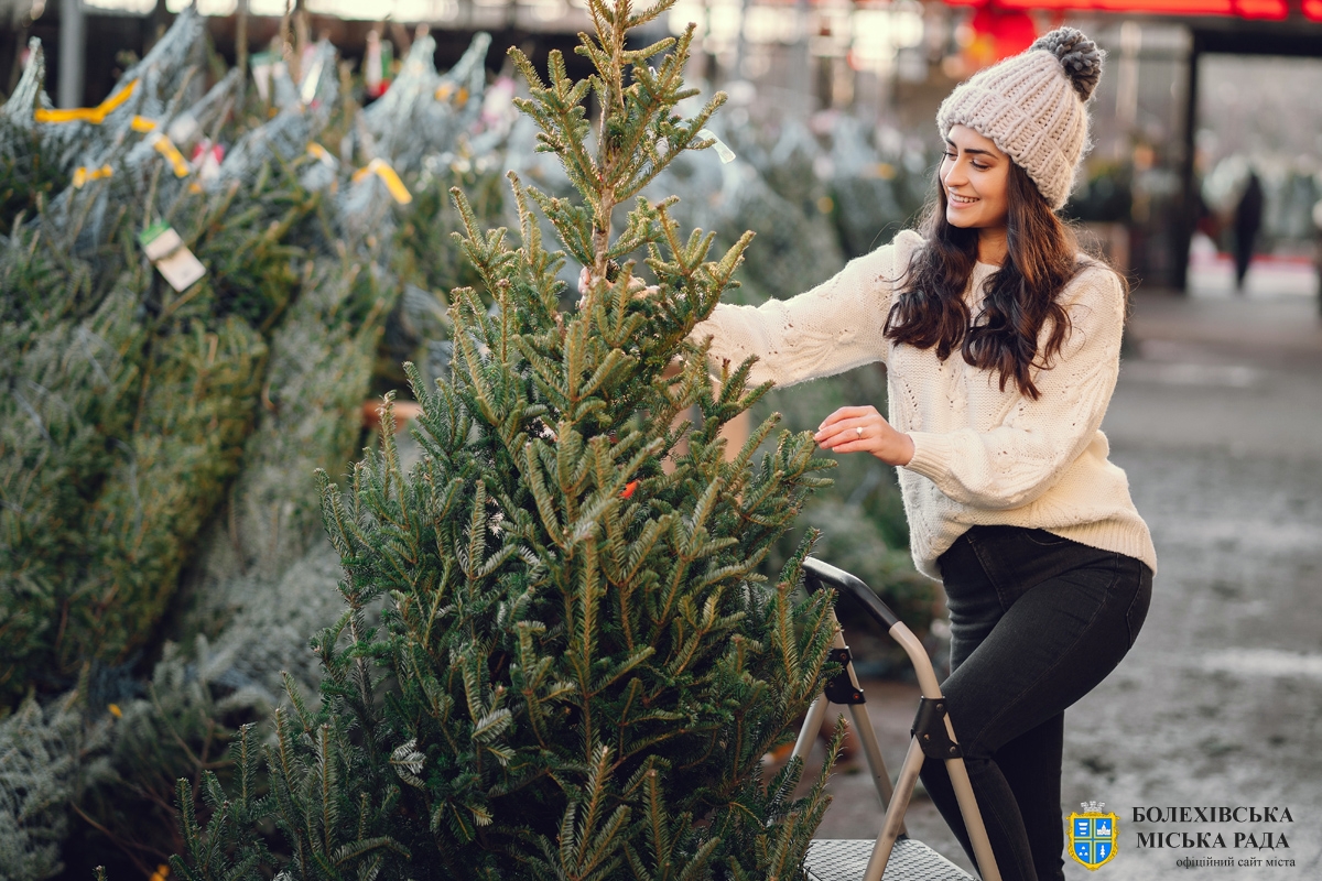 Увага! Операція «Ялинка -2026»