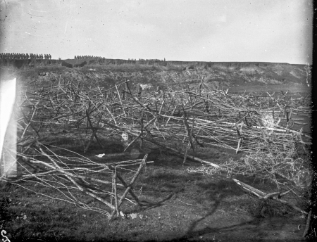 Іспанські кобилки на окраїні з далеку видно на поли стрільців. Тернопільщина, 08 червня 1915 року. Фотограф Іван Іванець. Джерело: Леґіон Українських Січових Стрільців. Фотоархів Архів: Український Музей і Бібліотека у Стемфорді (Канада); Фонд Українські Січові Стрільці. Файл UML_Box_58-00143 https://surl.li/qiowbx