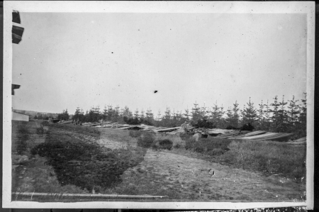 Окопи під Болеховом. 1915 рік. Джерело: Леґіон Українських Січових Стрільців. Фотоархів Shevchenko Scientific Society Archives Fund Stepan Ripetsky File name: NTSh_Box_8-23F https://surl.lt/jrpsxd