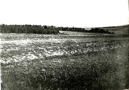 Поле бою біля Болехова. Джерело: Österreichische Nationalbibliothek - Austrian National Library https://surl.li/lroqxe