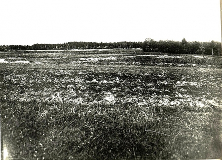 Поле бою біля Болехова. Джерело: Österreichische Nationalbibliothek - Austrian National Library https://surl.lt/qsqtfd