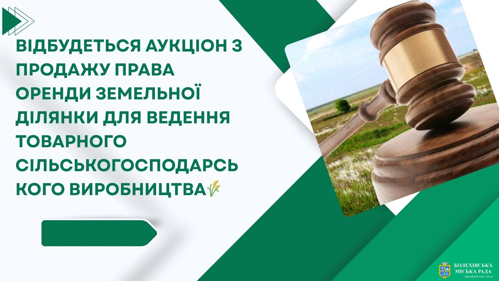 Відбудеться аукціон з продажу права оренди земельної ділянки для ведення товарного сільськогосподарського виробництва🌾