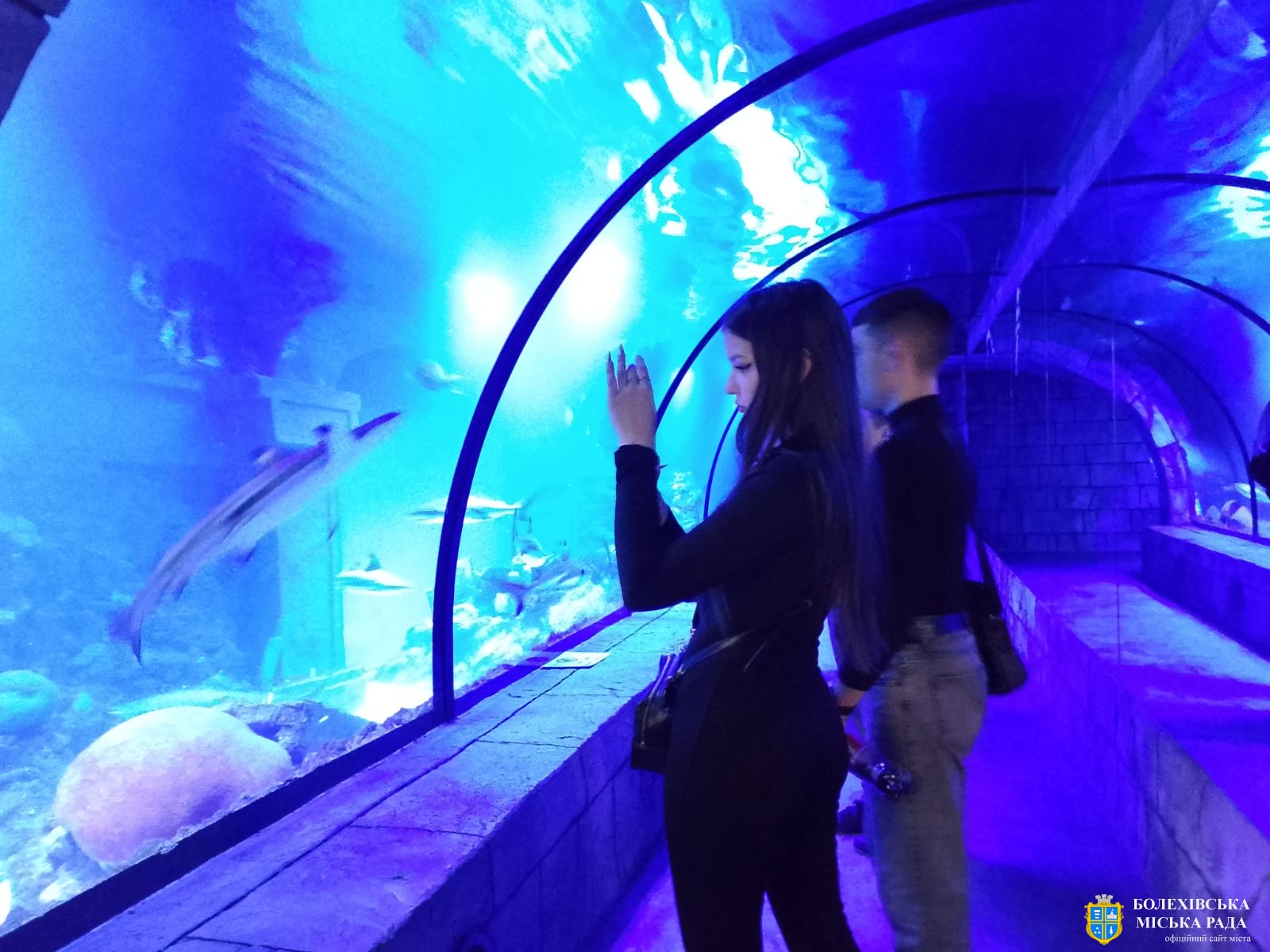 Поїздка до океанаріуму