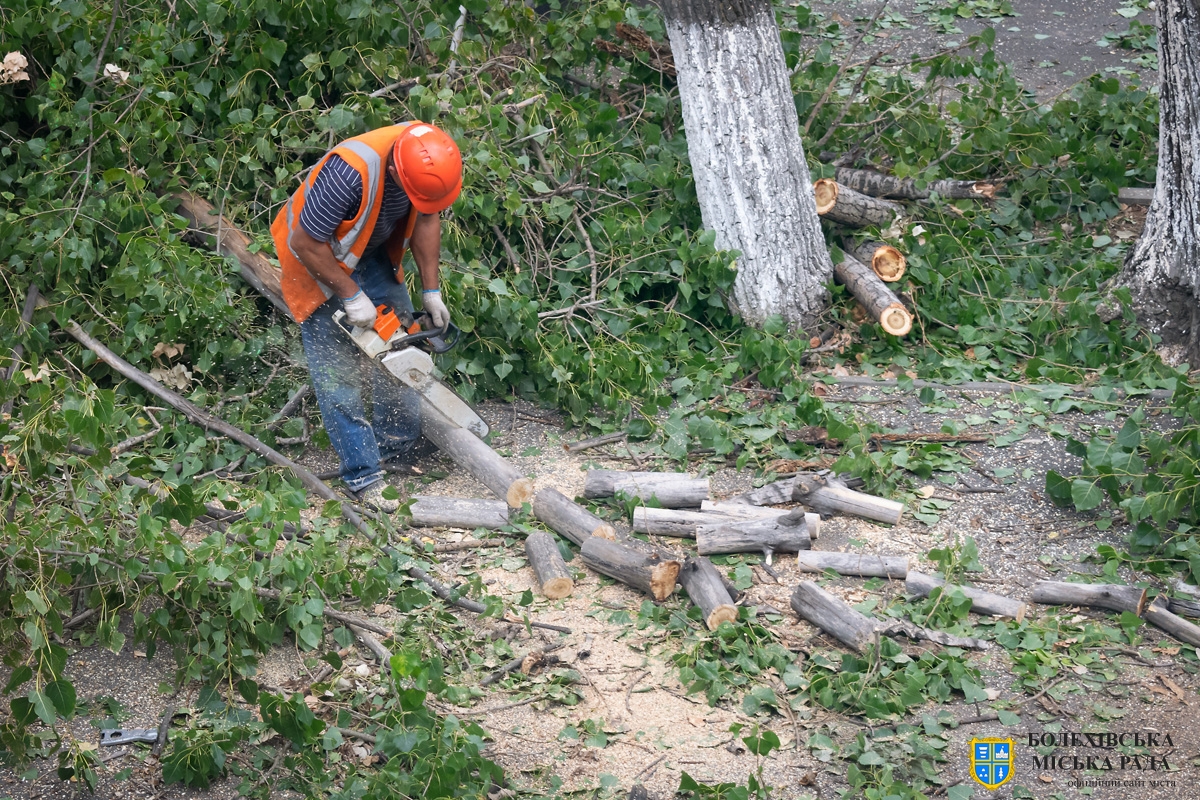 Роз’яснення щодо аварійних дерев, їх кронування та вчасне звернення про аварійні і сухостійні дерева
