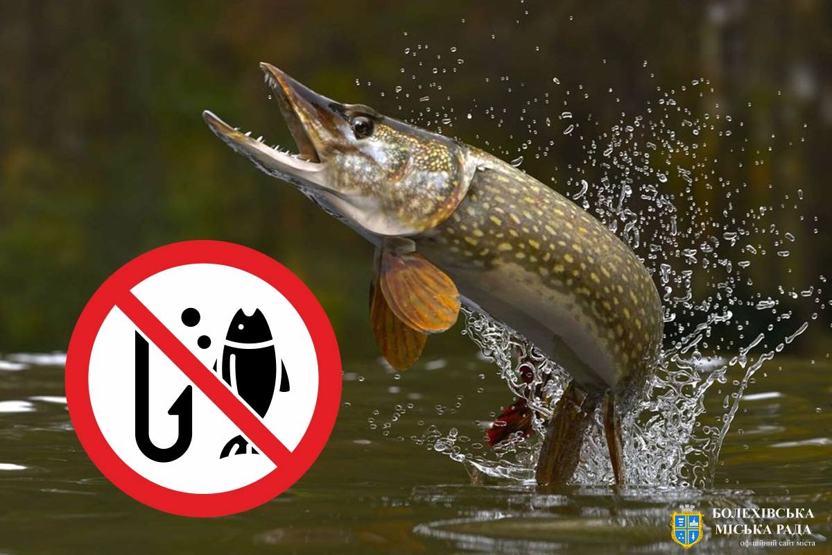 Державна екологічна інспекція Карпатського округу інформує! Забороняється вилов щуки з 15 лютого до 31 березня