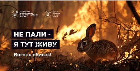 Не пали суху траву та залишки сухої рослинності: відповідальність, передбачена КУпАП