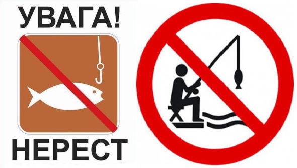 Із 1 квітня розпочинається весняно-літня нерестова заборона рибальства