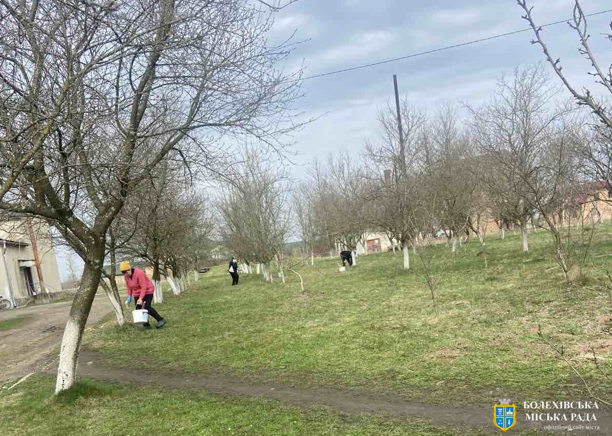 У Болехівській громаді триває весняна толока