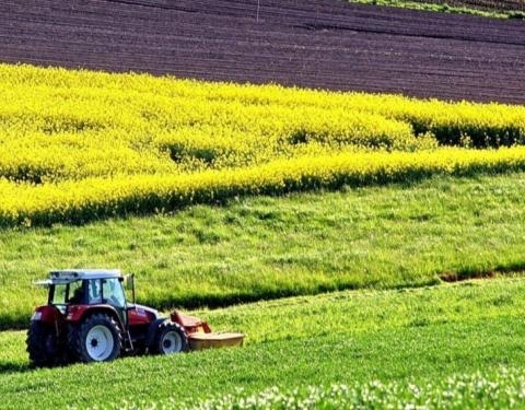 Відбудеться аукціон з продажу права оренди земельної ділянки для ведення фермерського господарства