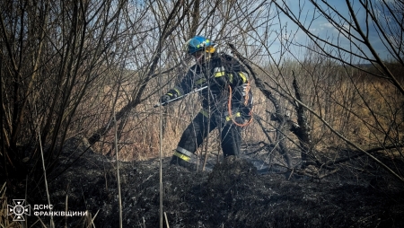 Впродовж вихідних прикарпатські вогнеборці ліквідували 27 пожеж в природних екосистемах на площі 2 га