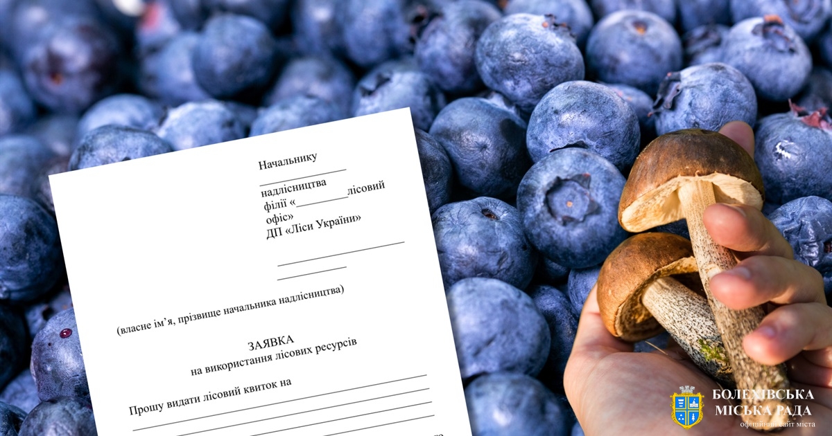 Щодо прав на лісові ресурси відповідно до законодавства України та вимог FSC® стандарту