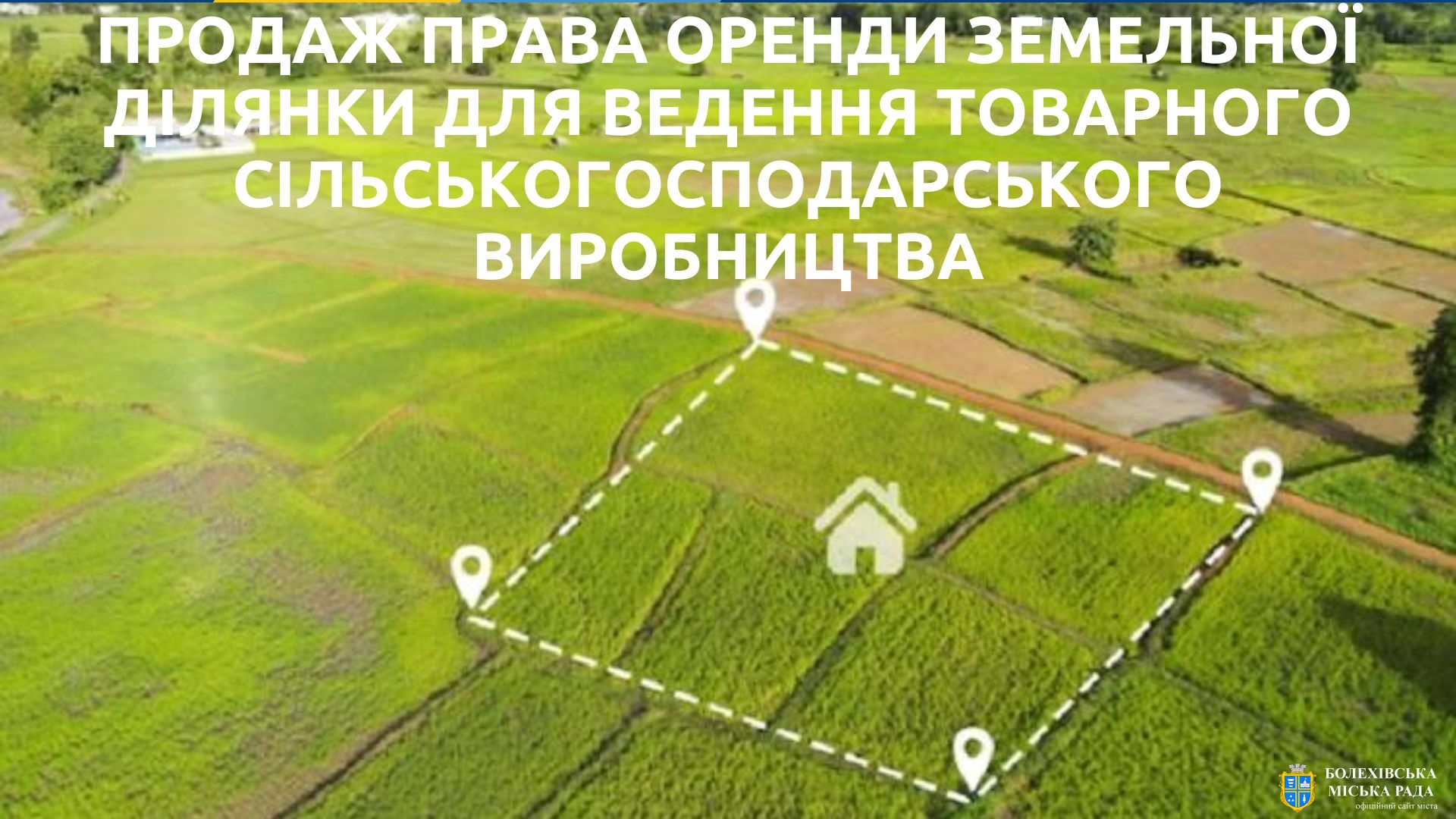 Відбудуться аукціони з продажу права оренди земельних ділянок для ведення товарного сільськогосподарського виробництва