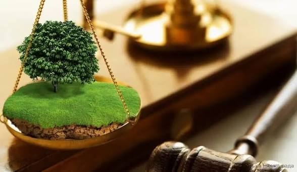Відбудеться аукціон з продажу права оренди земельної ділянки для ведення товарного сільськогосподарського виробництва
