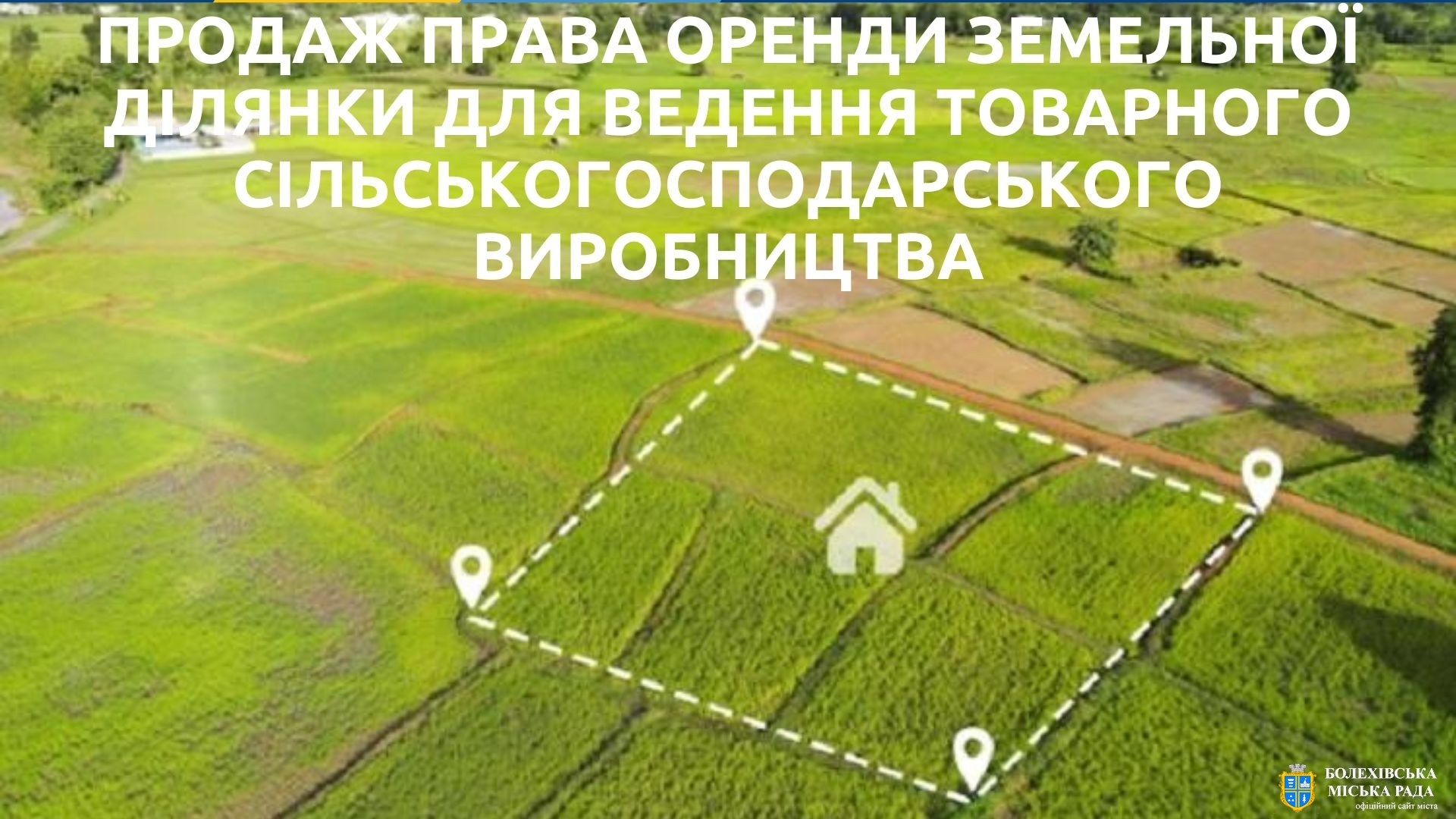 Відбудуться аукціони з продажу права оренди земельних ділянок для ведення товарного сільськогосподарського виробництва